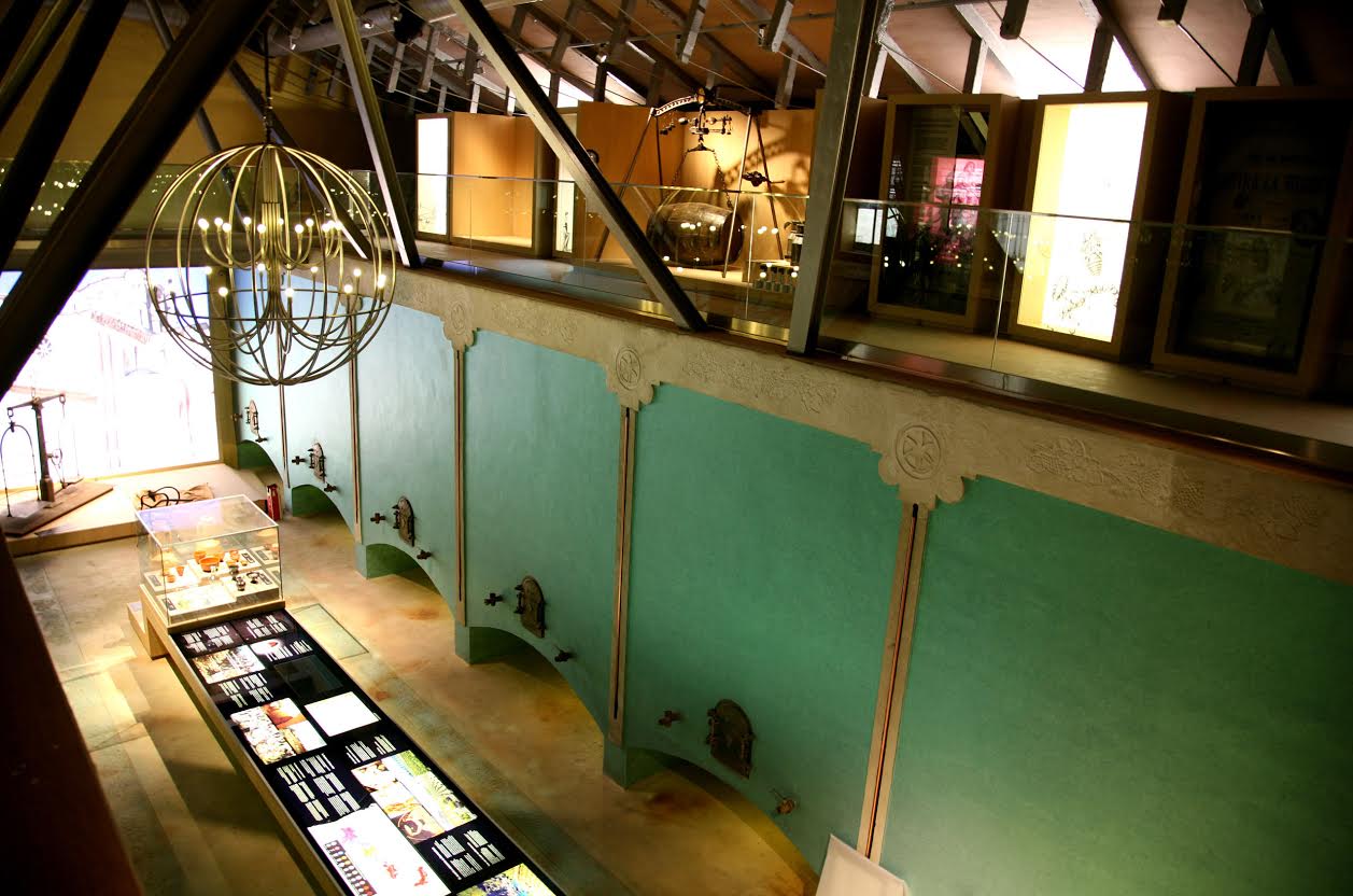 interior del Museo del Vino, Pagos del Rey SL